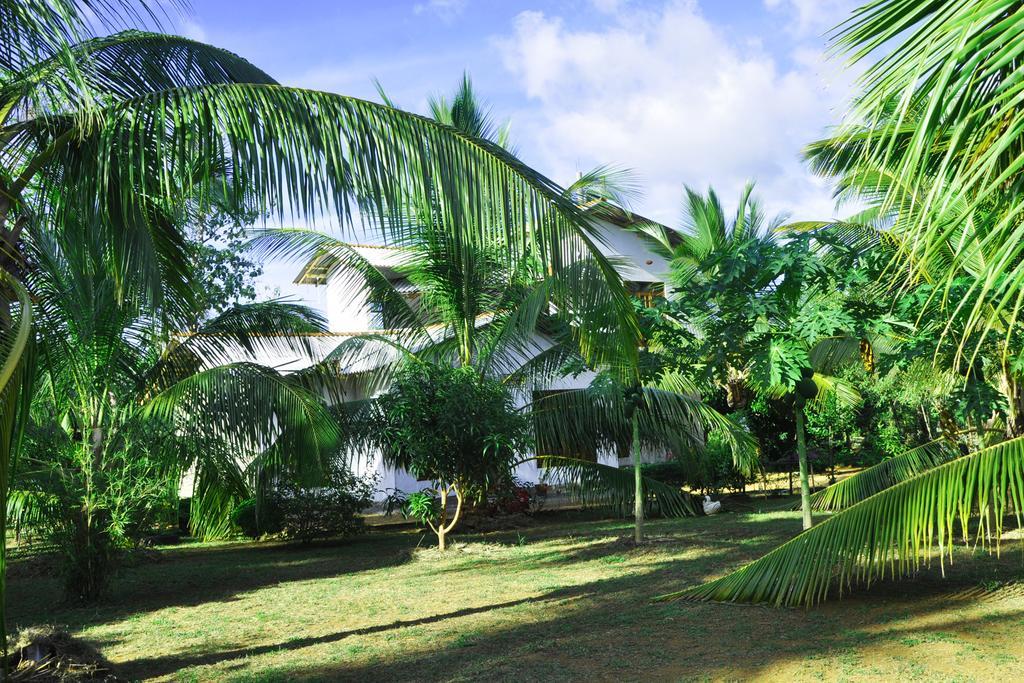 Отель Coconut Garden House Удавалаве Экстерьер фото
