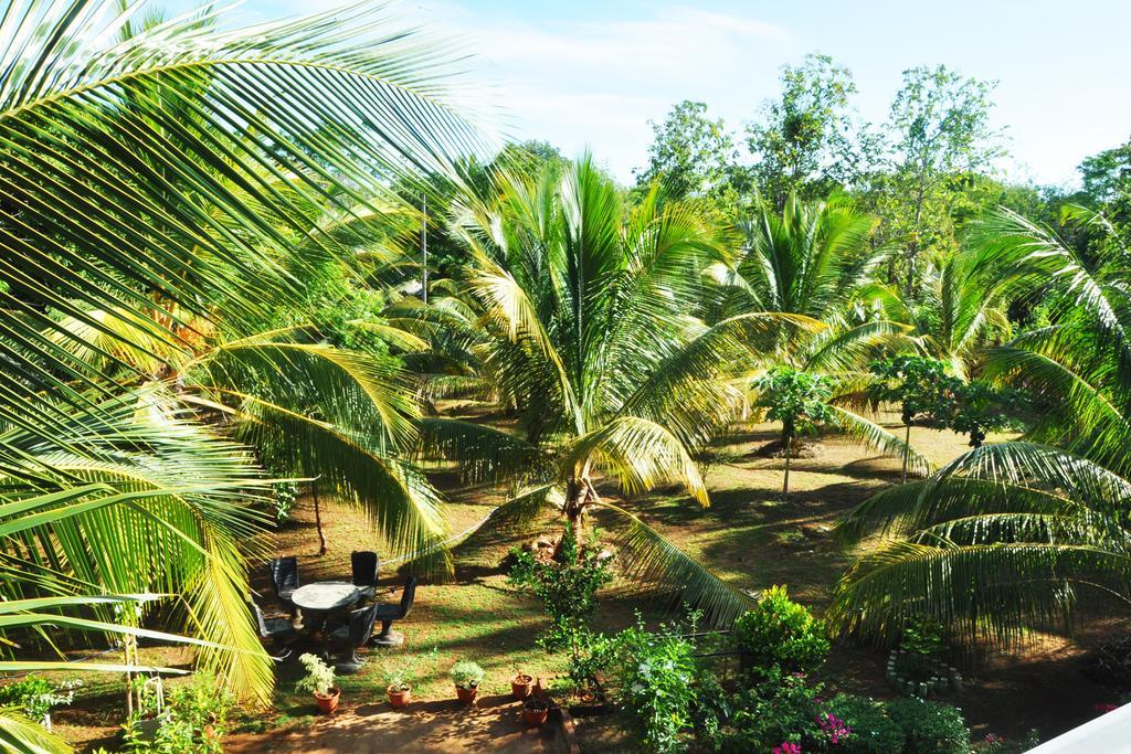 Отель Coconut Garden House Удавалаве Экстерьер фото